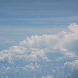 Meet your Posher, Shadow